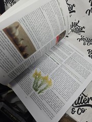 The Lost Book Of Herbal Remedies 2020 By Nicole Apelian , PhD & Claude Davis