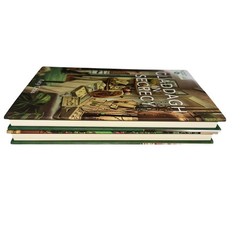 Irish Tearoom Mysteries Claddagh In Secrecy & Yule Pay Dearly HB Books