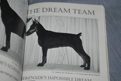 Doberman Quarterly Maco & Mari SPRING 1993 softcover book 295 pages