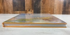 REFLECTIONS : Paintings of Florida 1865-1965 by Gary R. Libby NEW SEALED Art HC