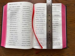 Catholic Chinese Bible Studium Biblicum 思高圣经 天主教 简体中文大字 25K 红边 US Stock 美国本土包邮发货