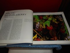 Berries Cultivation Decoration and Recipes Mary Forsell HC/DJ 1989 Fruit Jarring
