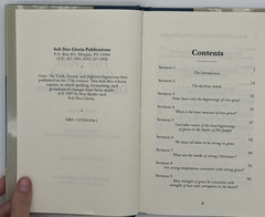 Grace: The Truth, Growth, and Different Degrees by Christopher Love, B186