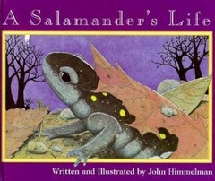 A Salamander’s Life; Nature Upclose – 0516208209, John Himmelman, library bindin