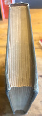 Keppel. Ladies’ Beauty Book & Old Home Doctor. 1915. 1000s of recipes & meds