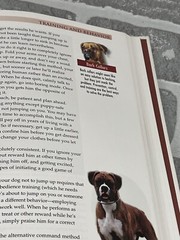 Terra-Nova The Boxer Hardcover Book With DVD 207 Pages