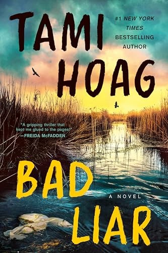Bad Liar A Novel – GOOD