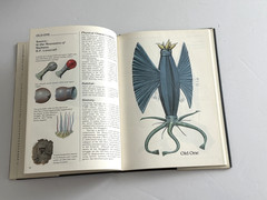 Barlowe’s Guide to Extra-Terrestrials by Wayne Barlowe & Ian Summers Aliens