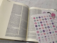 ESV Journaling Bible and 3 Sticker Sheets