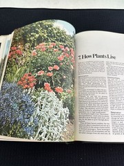 Practical Gardening Encyclopedia by Roy Hay – 1977 Hardcover