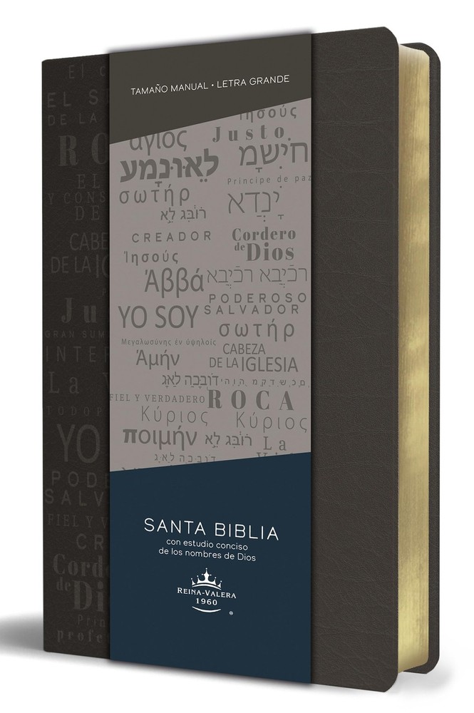 Biblia RVR 1960 letra grande tamaño manual, simil piel gris con nombres de …