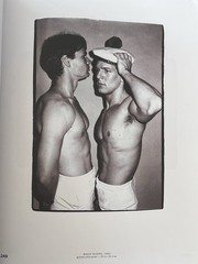 Andy Warhol: Velvet Rage and Beauty (Prestel) Hardcover Coffee Table Book