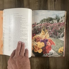 Flower Arranging – Better Homes And Gardens (Hardcover, 1965)