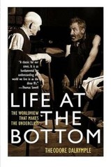 Life at the Bottom: The Worldview That Makes the Underclass – VERY GOOD
