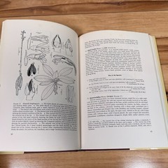 The Genera of Orchidaceae in Hong Kong by Shiu-ying Hu VERY GOOD VTG 1977 1st Ed