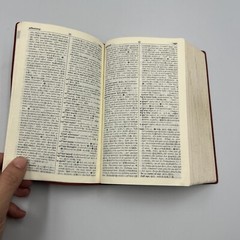 The New Crown English Japanese Dictionary Jujiro Kawamura 1964