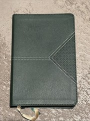 Holy Bible : Niv, Center-column Reference Bible, Green, Red Letter, Comfort P…