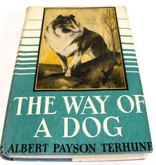 The Way of a Dog by Albert Terhune First Edition Hardback w/ Dust Jacket 1932