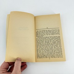 Killer In The Rain, Photo,The Lady in the Lake Raymond Chandler 1973 Ballantine