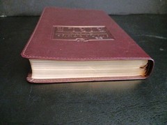 The MacArthur Daily Bible (Leather) – Nelson – John MacArthur 2003 NASB Version