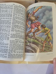 WORLD BIBLE KING JAMES WHITE IMITATION LEATHER OVERLAPPING COVERS AMBER EDGES