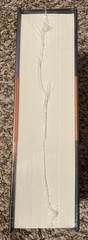 Under the Dome by Stephen King Collector’s Edition w/ Cards Hardcover – New