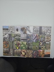 Living Upriver Artful Homes, Idyllic Lives Barbra de Vries Hardback