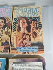 Savage Destiny Paperback 4 Book Lot Rosanne Bittner Historical Romance Old West