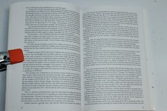 The Norfolk Western Railway : A History by E. F. Pat Striplin (1997) Revised