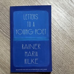 Letter To A Young Poet By Rainer Maria Rilke With Handwritten Notes, Paperback.