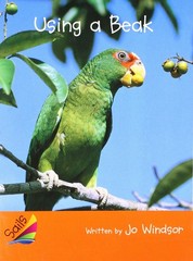 Using a Beak (Sails, Fluency (1))
