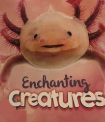 Enchanting Creatures – 9780711245600, Camilla De La Bedoyere, library binding