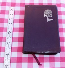 THE NIV RAINBOW STUDY BIBLE NEW INTERNATIONAL VERSION