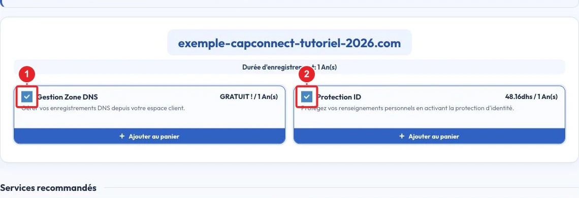 Vérifier les options Gestion Zone DNS et Protection ID du nom de domaine