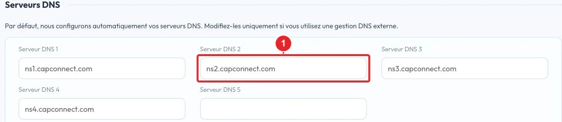 Vérifier les serveurs DNS avant de commander le nom de domaine
