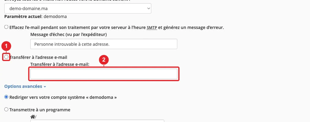 Formulaire de l’adresse e-mail par défaut et de la destination des messages dans cPanel
