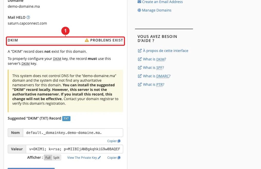 Diagnostic et enregistrements publics DKIM, SPF et DMARC du domaine dans cPanel — Enregistrement DKIM