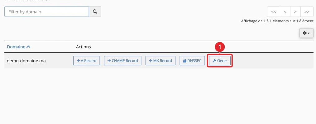Choisir le domaine à gérer dans l’éditeur de zone DNS cPanel