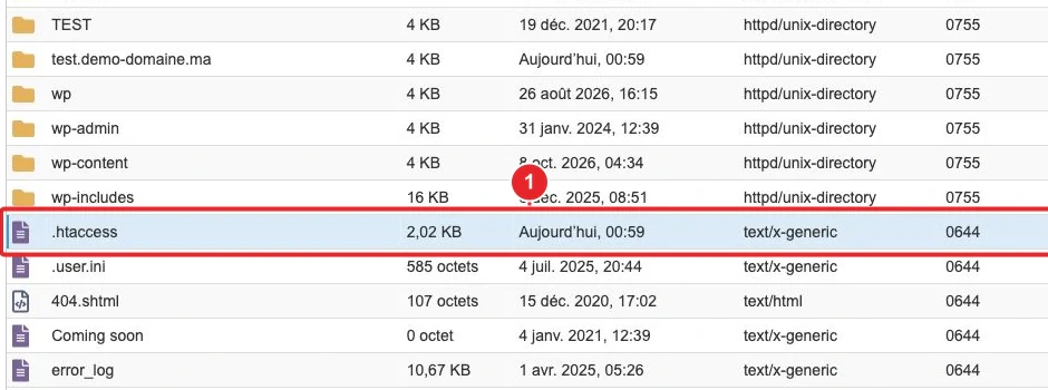 .htaccess file located in the cPanel File Manager