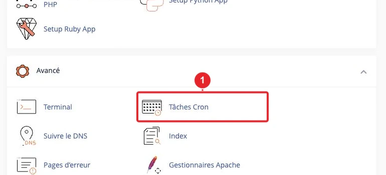 Accéder à tâches Cron depuis le tableau de bord cPanel