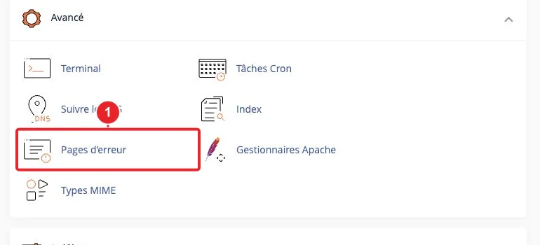 Accéder à pages d’erreur depuis le tableau de bord cPanel