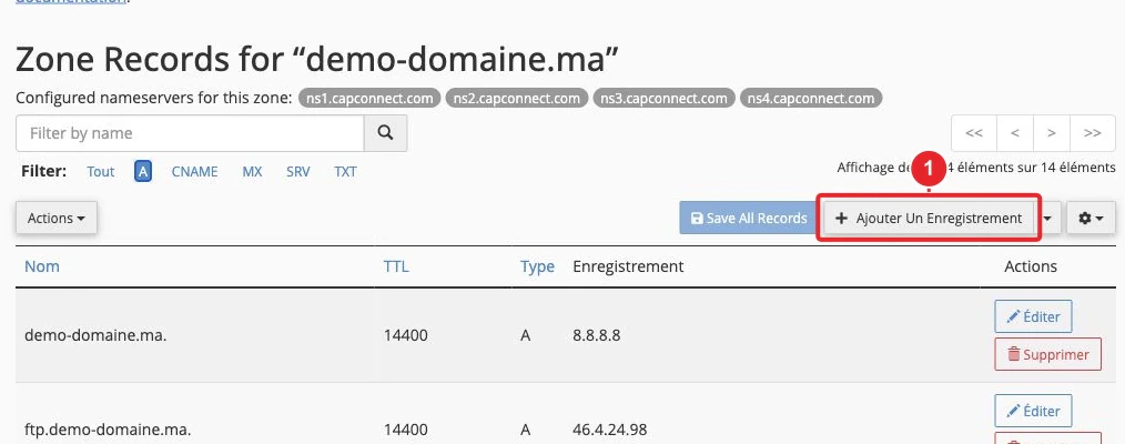 Liste des enregistrements A du domaine dans l’éditeur de zone DNS cPanel