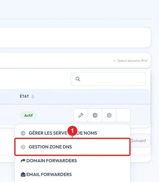 Ouvrir Gestion Zone DNS dans le menu du domaine