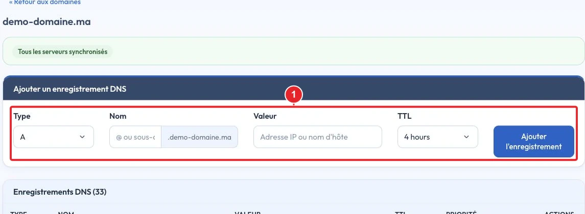 Formulaire d’ajout et liste des enregistrements de la zone DNS du domaine