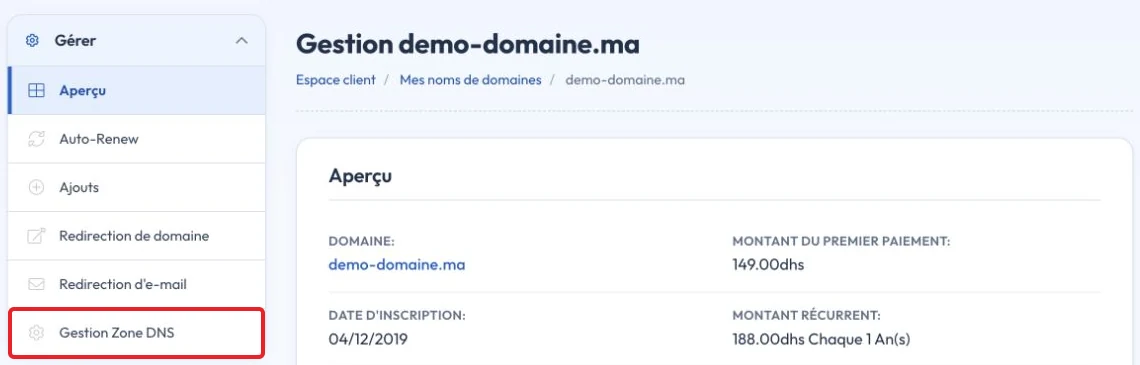 Ouvrir Gestion Zone DNS dans le nouveau menu du domaine
