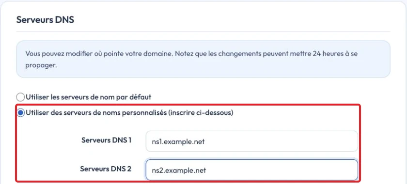 Select custom nameservers and enter the first two values — unsaved example