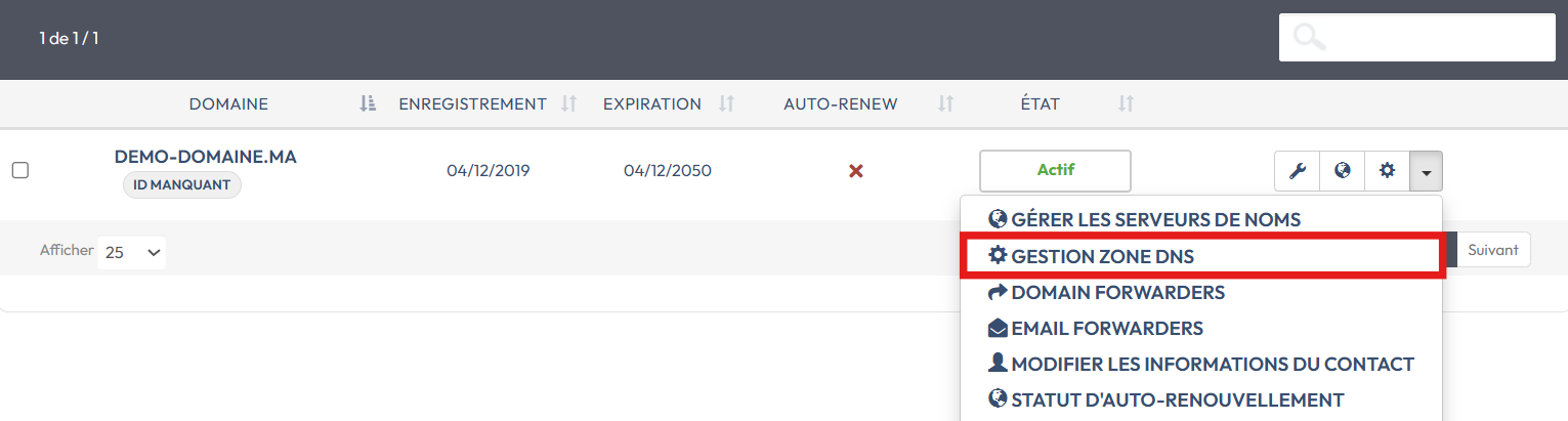 Manage DNS Zone