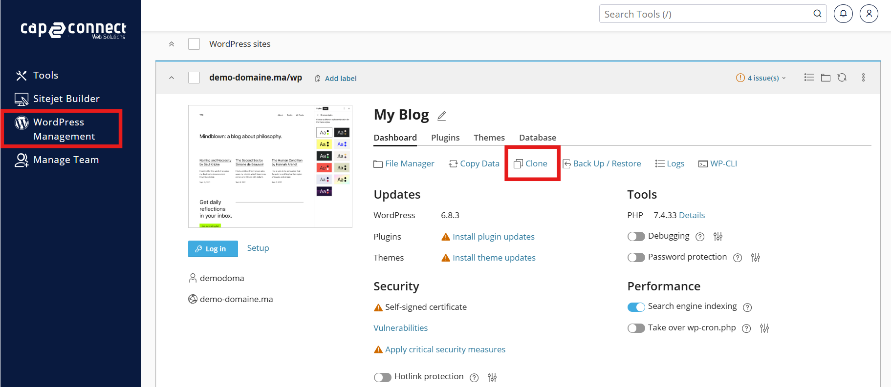 WordPress Management - Staging Website